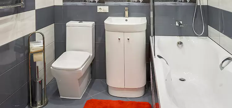 Hansgrohe Shaving Mirror West Des Moines
